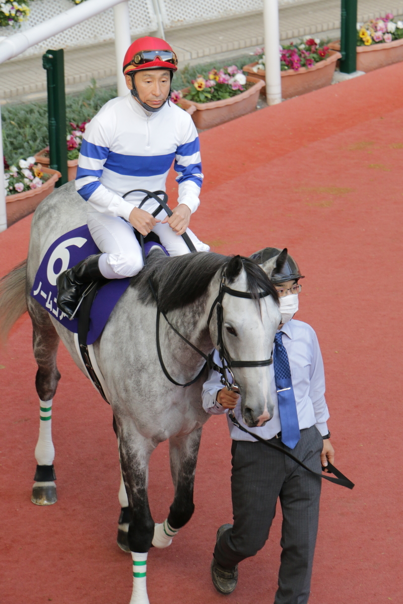 f:id:shitooo:20201117205239j:plain