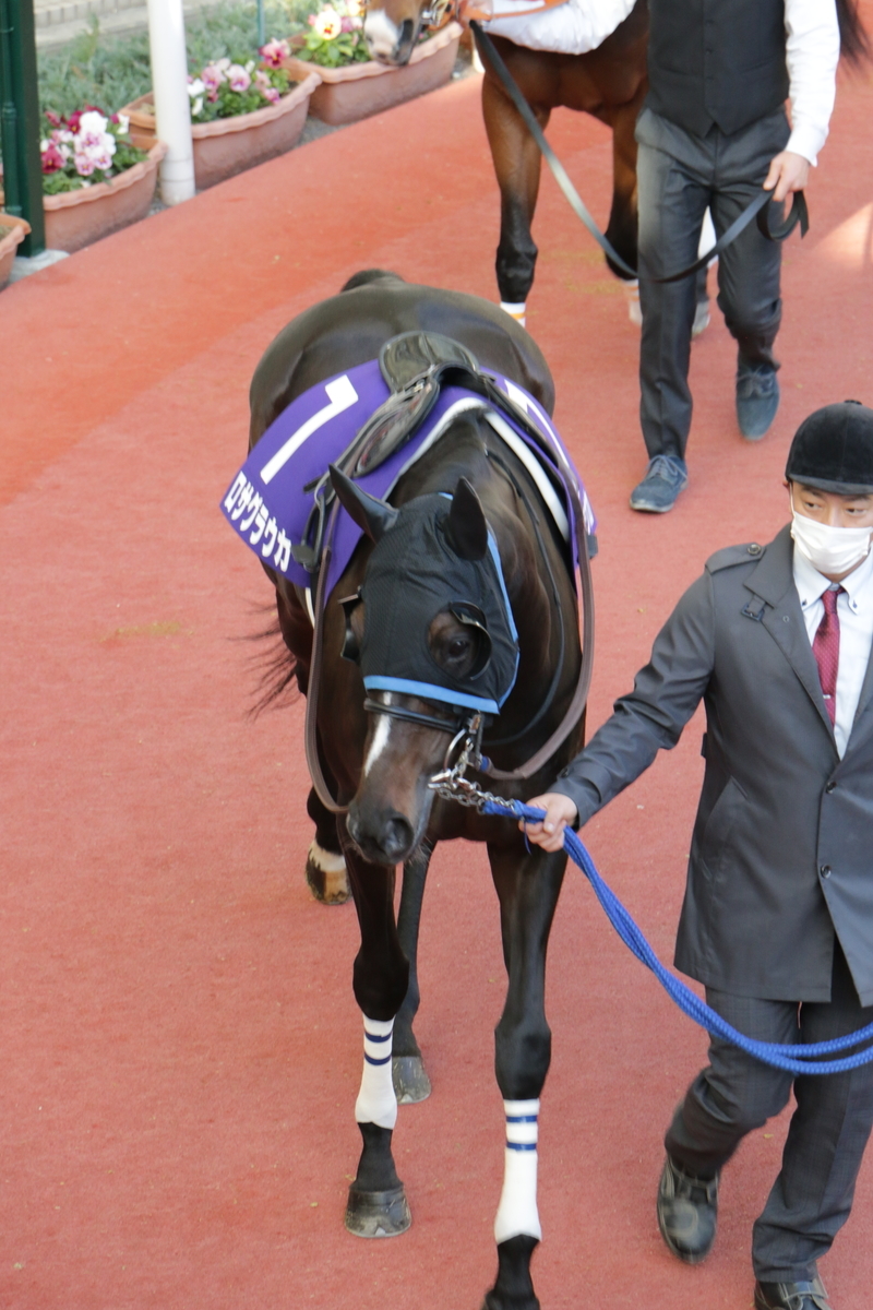 f:id:shitooo:20201117205433j:plain