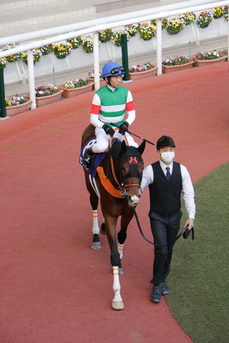 f:id:shitooo:20201117205647j:plain