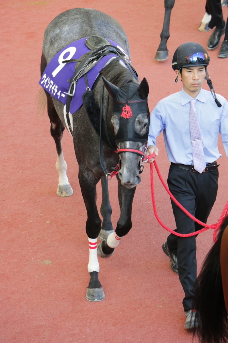 f:id:shitooo:20201117205915j:plain