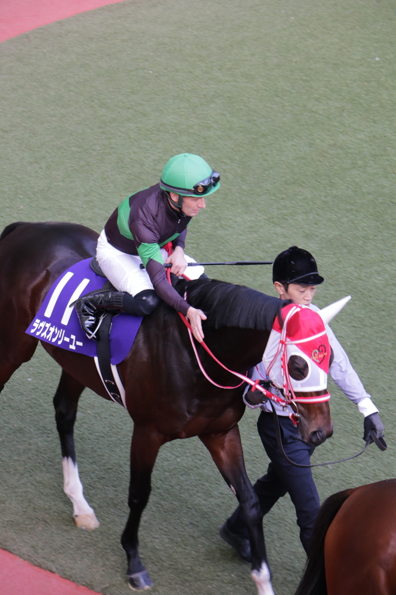 f:id:shitooo:20201117210243j:plain