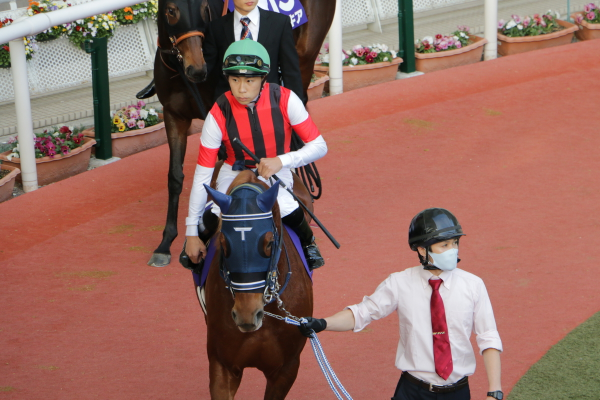 f:id:shitooo:20201117210416j:plain