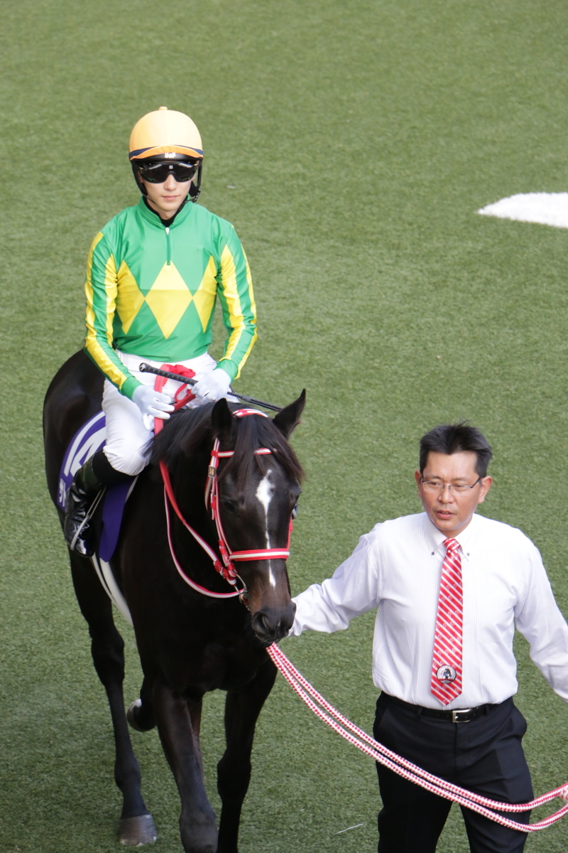 f:id:shitooo:20201117210801j:plain