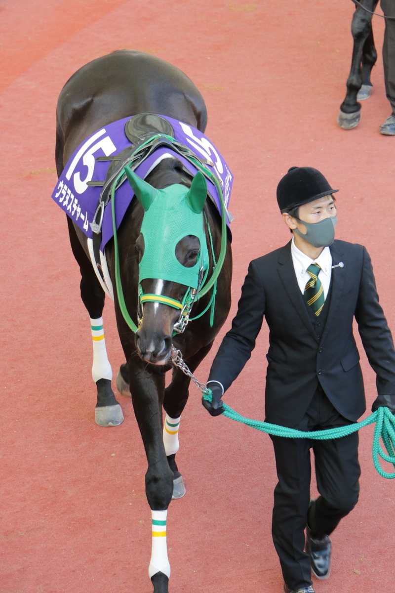 f:id:shitooo:20201117211027j:plain