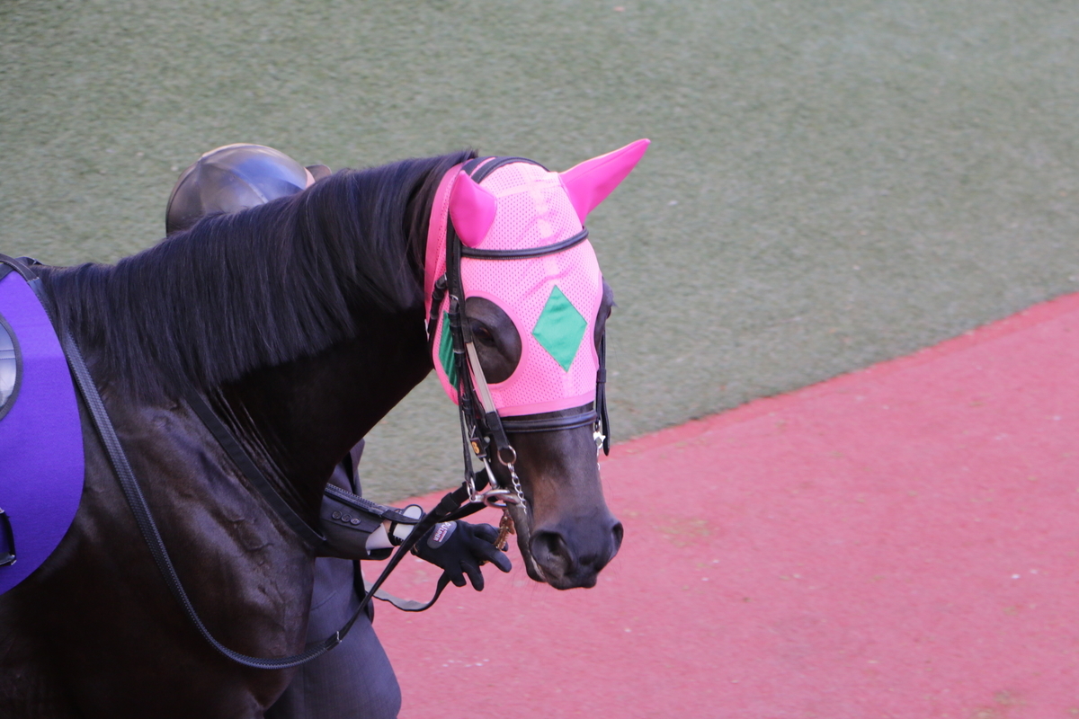 f:id:shitooo:20201117211159j:plain