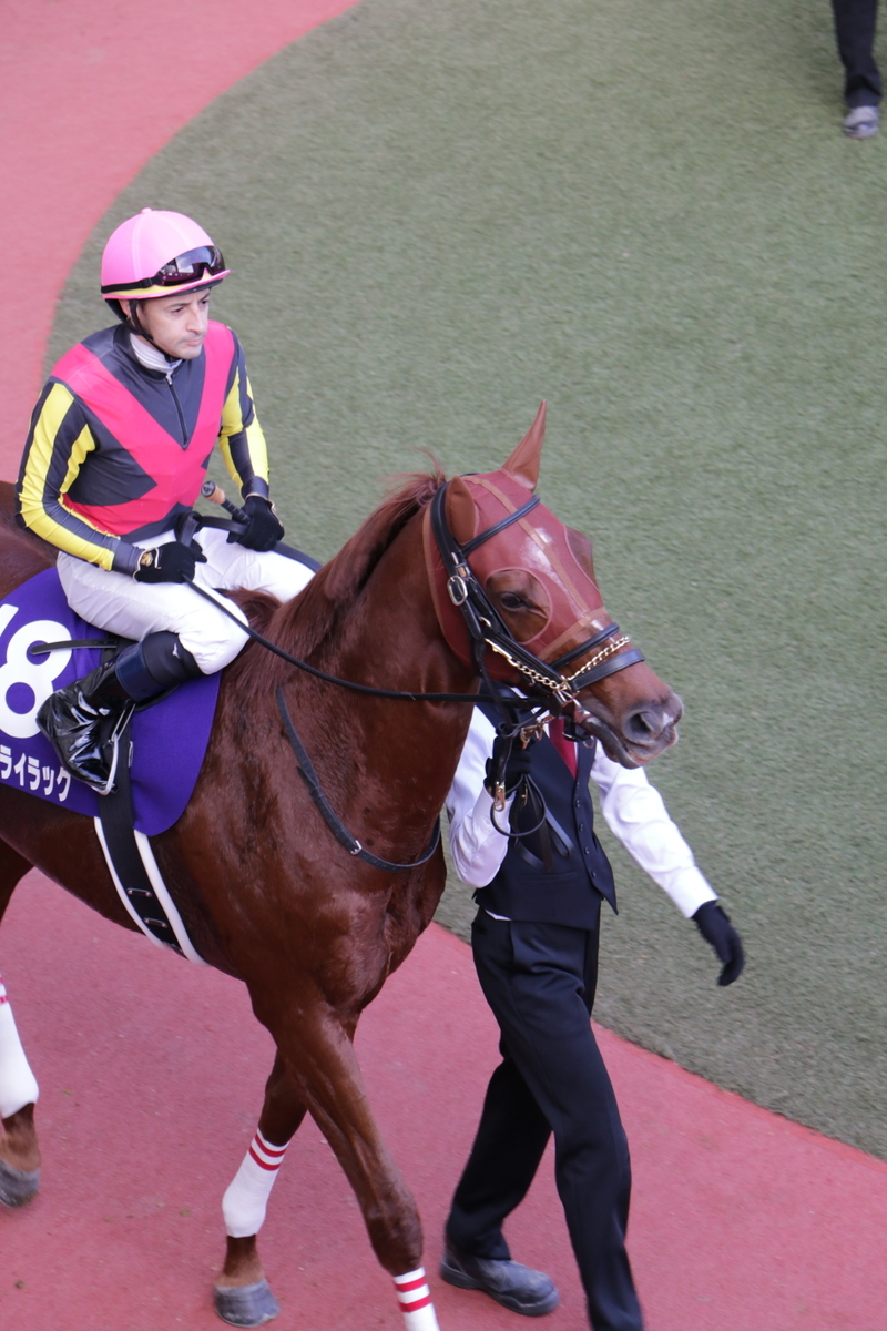 f:id:shitooo:20201117211357j:plain