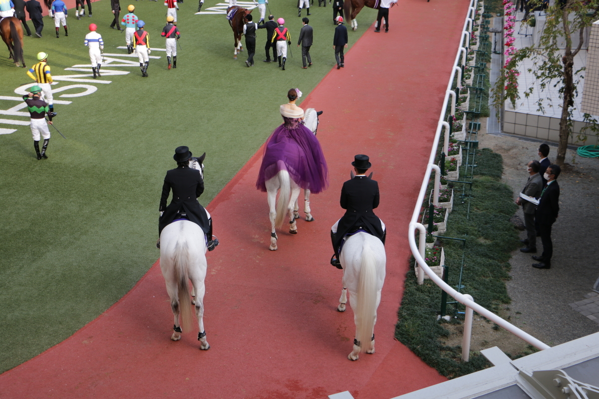 f:id:shitooo:20201117211539j:plain