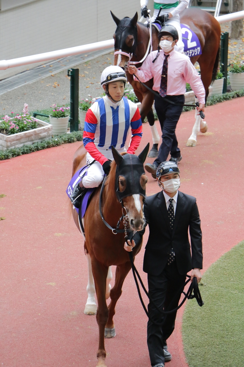 f:id:shitooo:20201123184038j:plain