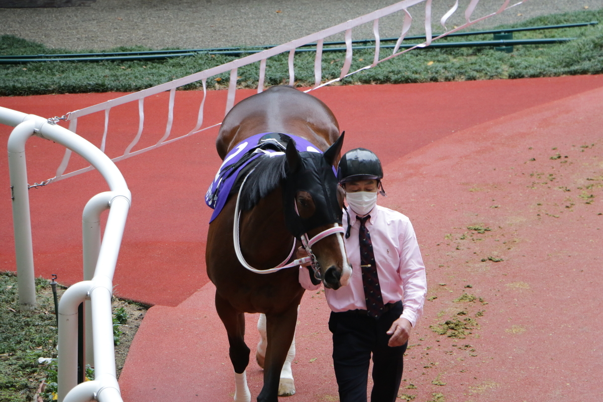 f:id:shitooo:20201123184245j:plain