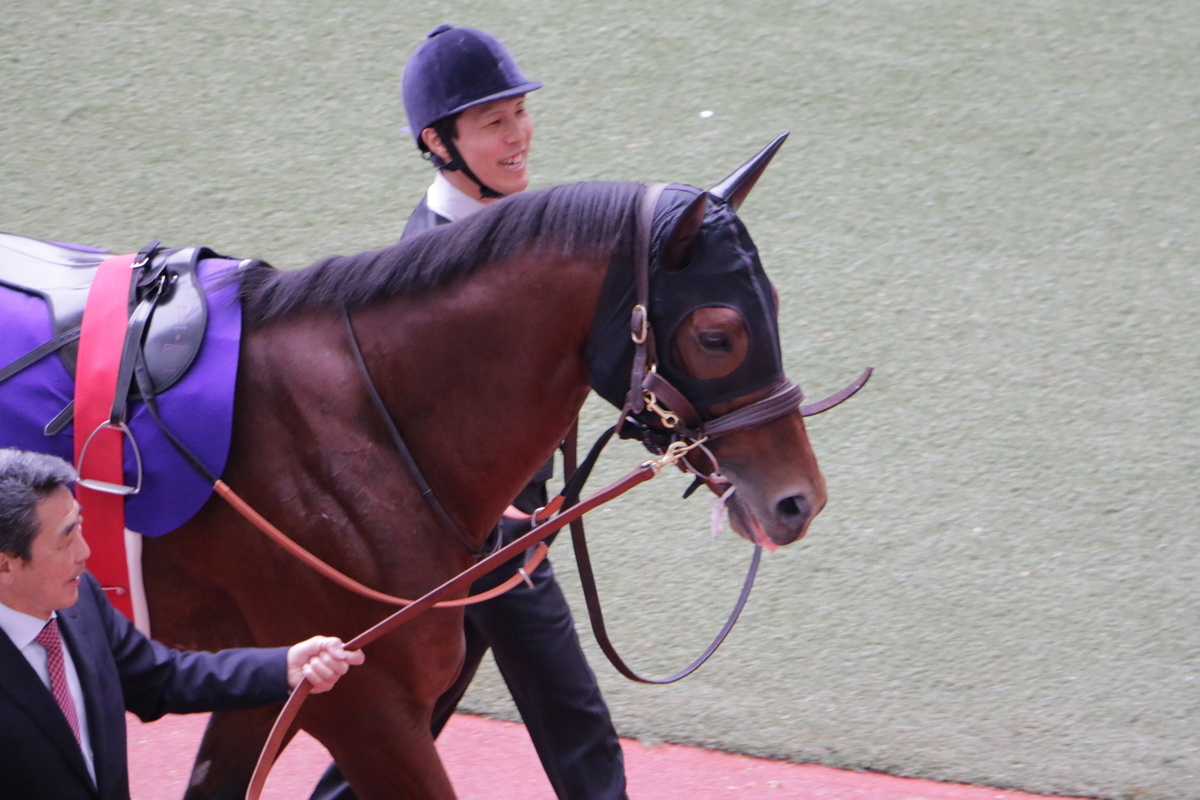 f:id:shitooo:20201123185316j:plain