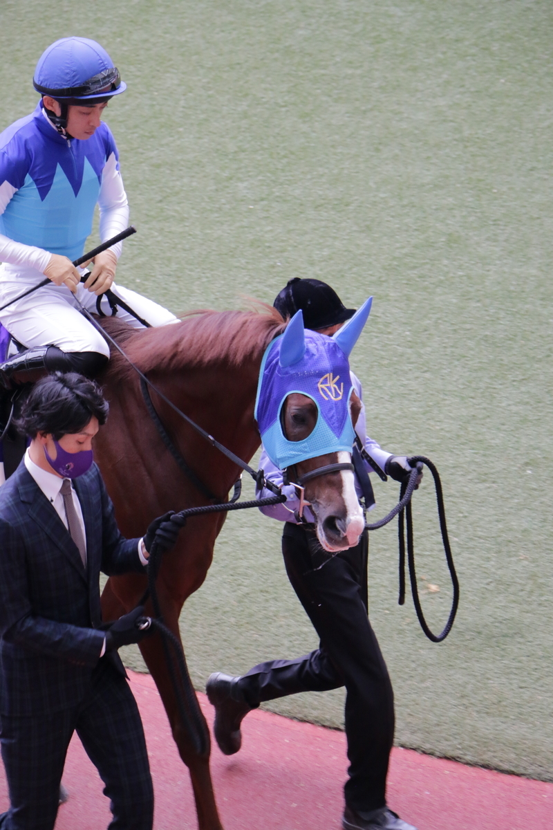 f:id:shitooo:20201123190156j:plain