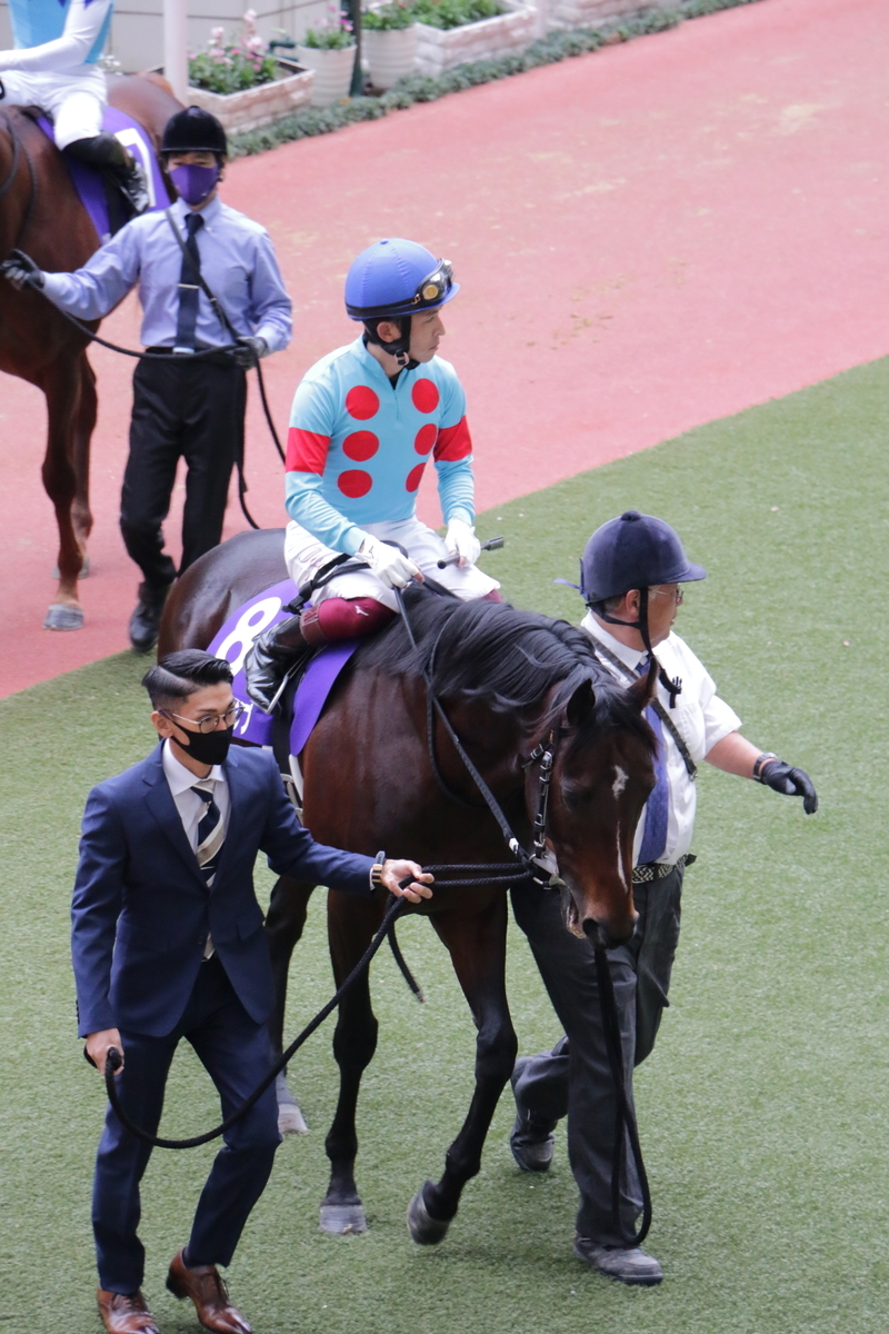 f:id:shitooo:20201123190309j:plain