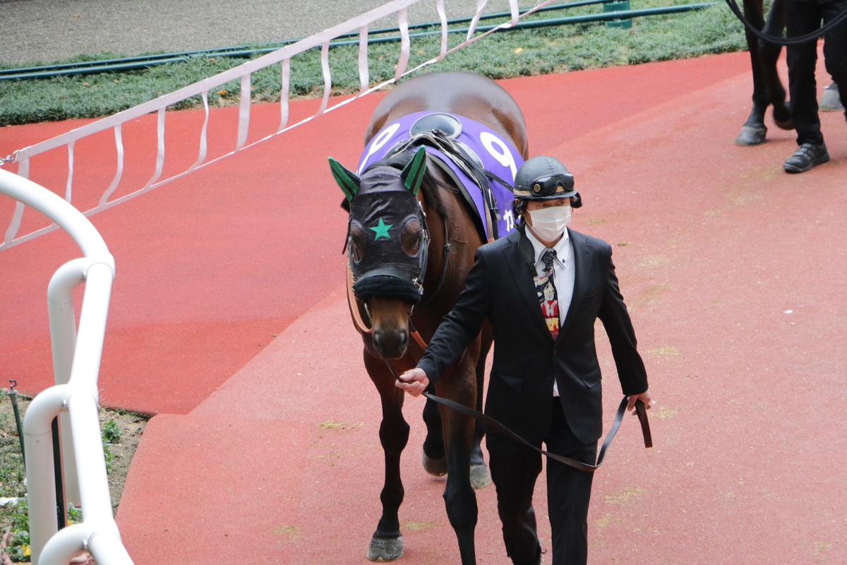 f:id:shitooo:20201123190915j:plain