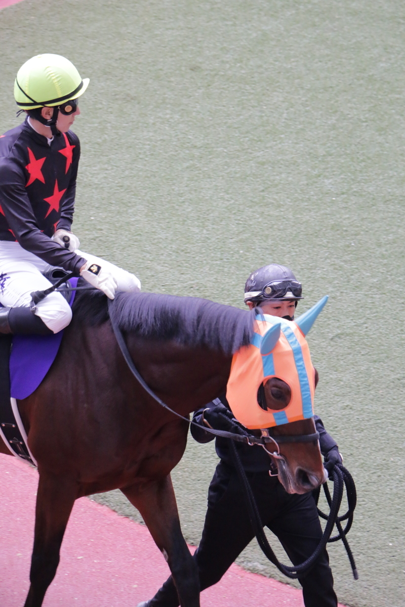 f:id:shitooo:20201123191217j:plain