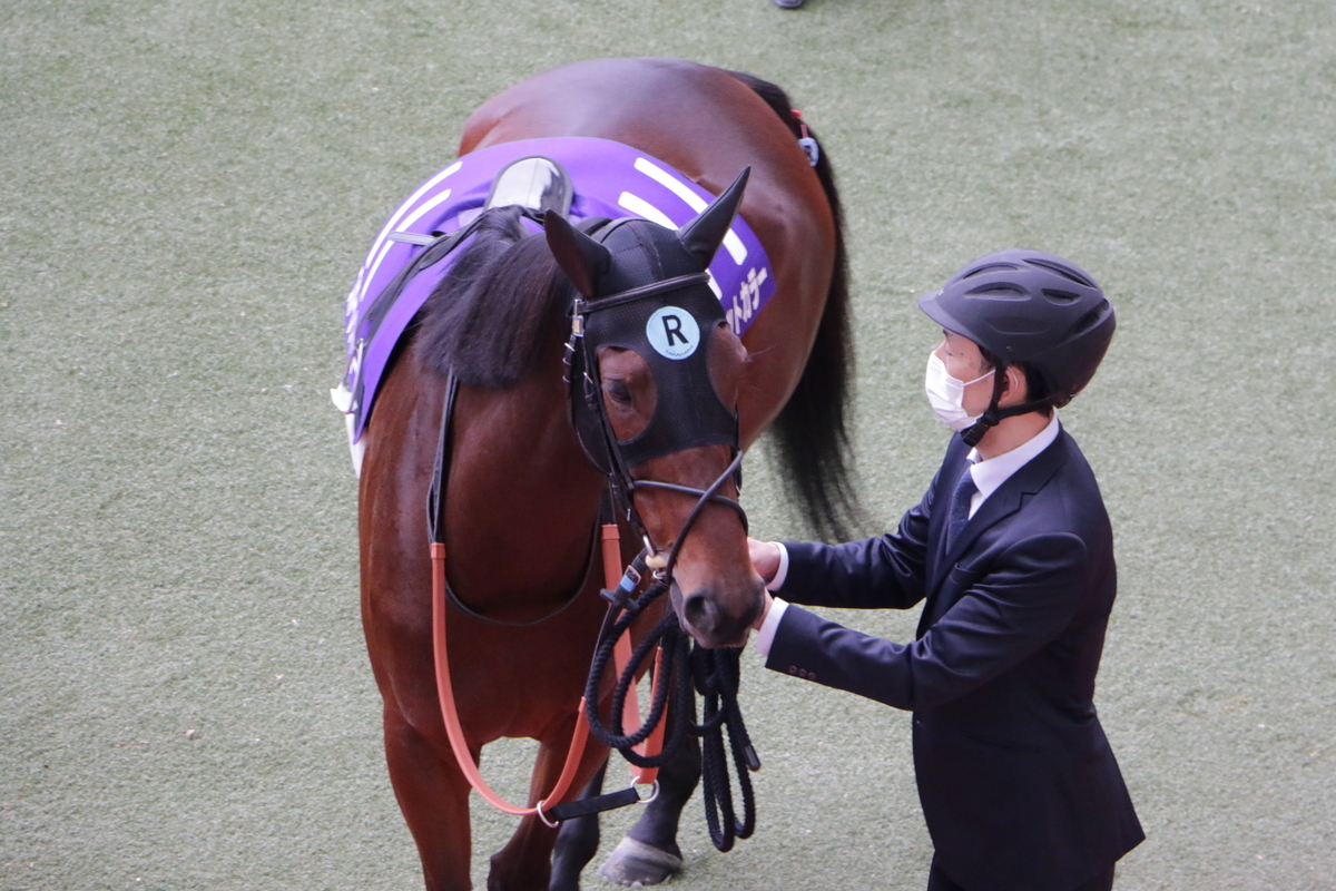 f:id:shitooo:20201123191406j:plain