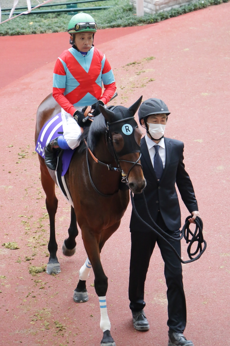 f:id:shitooo:20201123191444j:plain