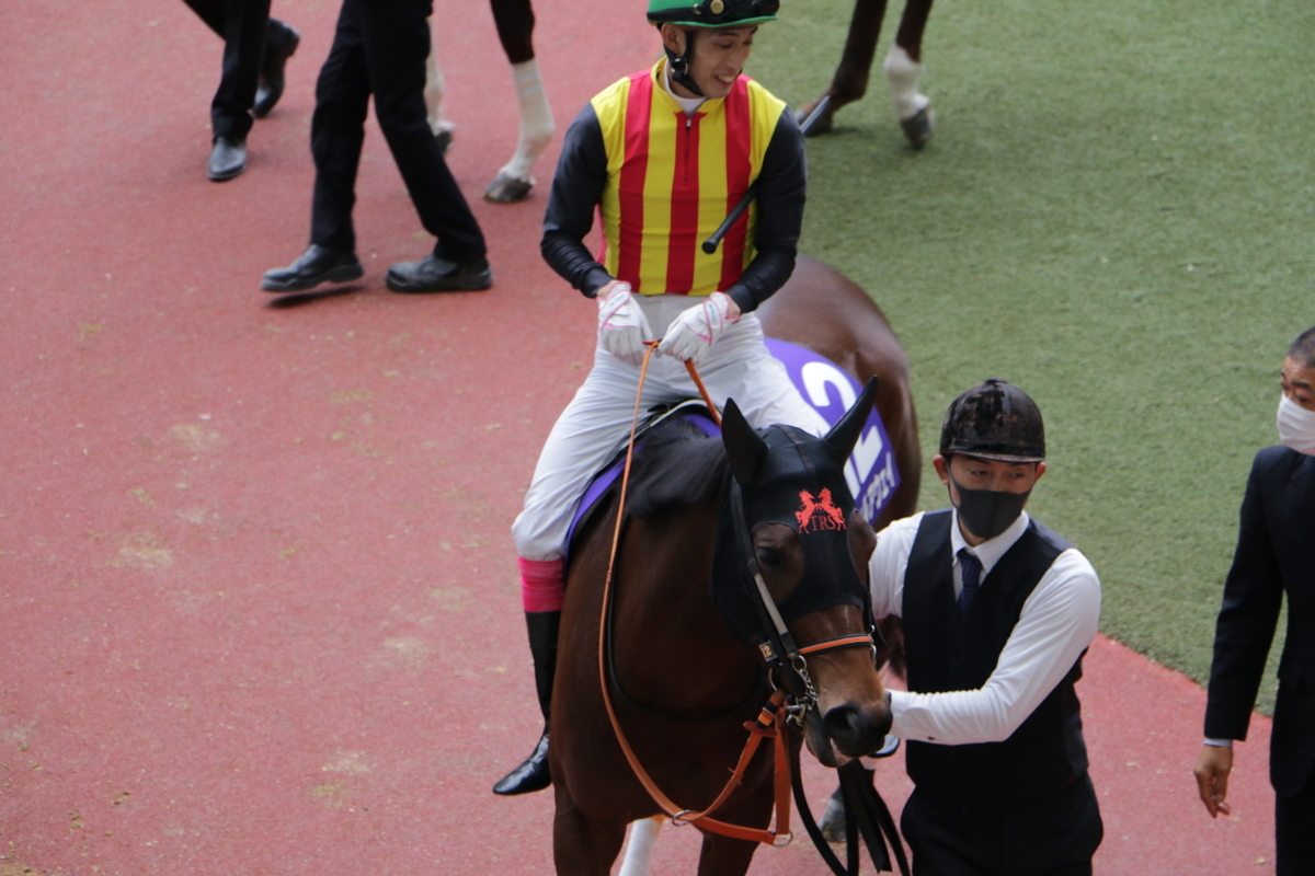 f:id:shitooo:20201123191712j:plain