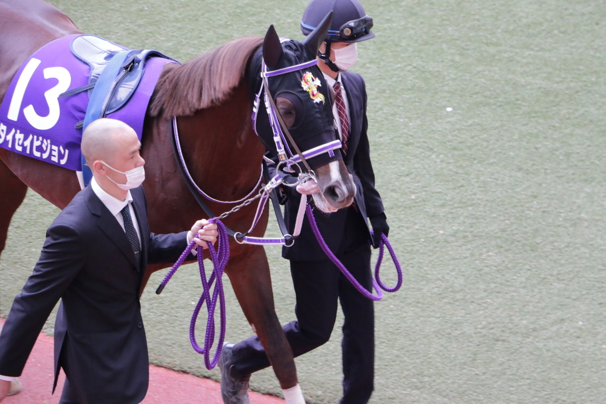 f:id:shitooo:20201123192011j:plain