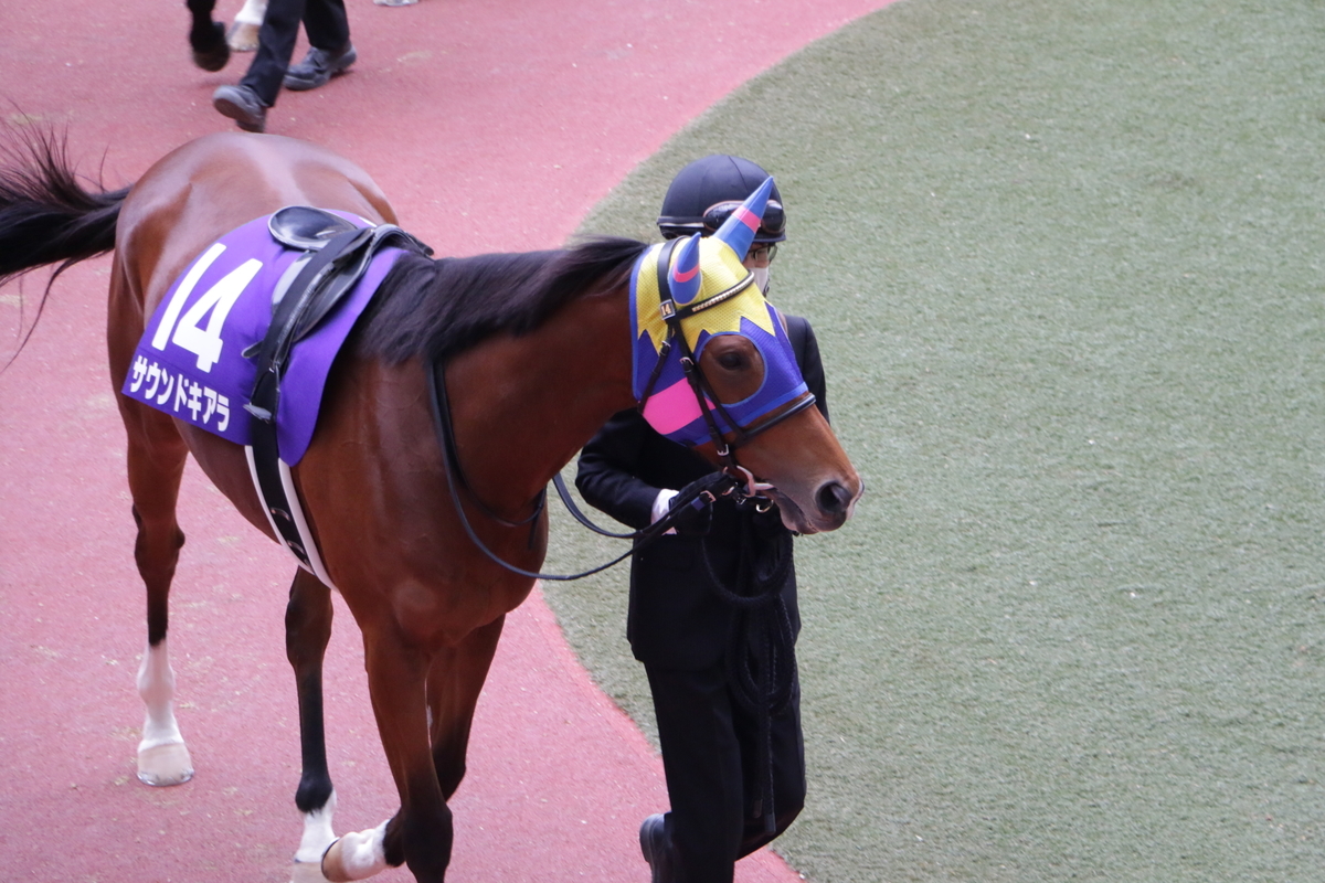 f:id:shitooo:20201123192152j:plain