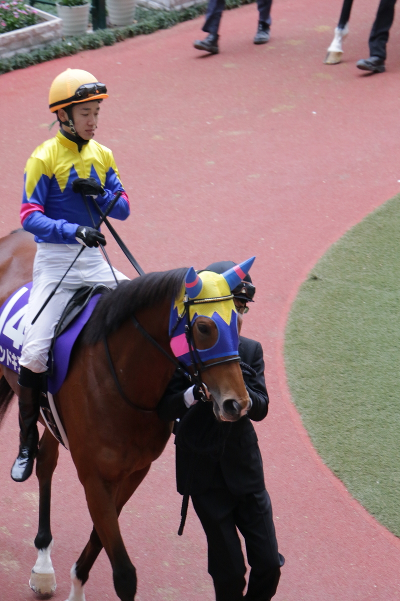 f:id:shitooo:20201123192248j:plain