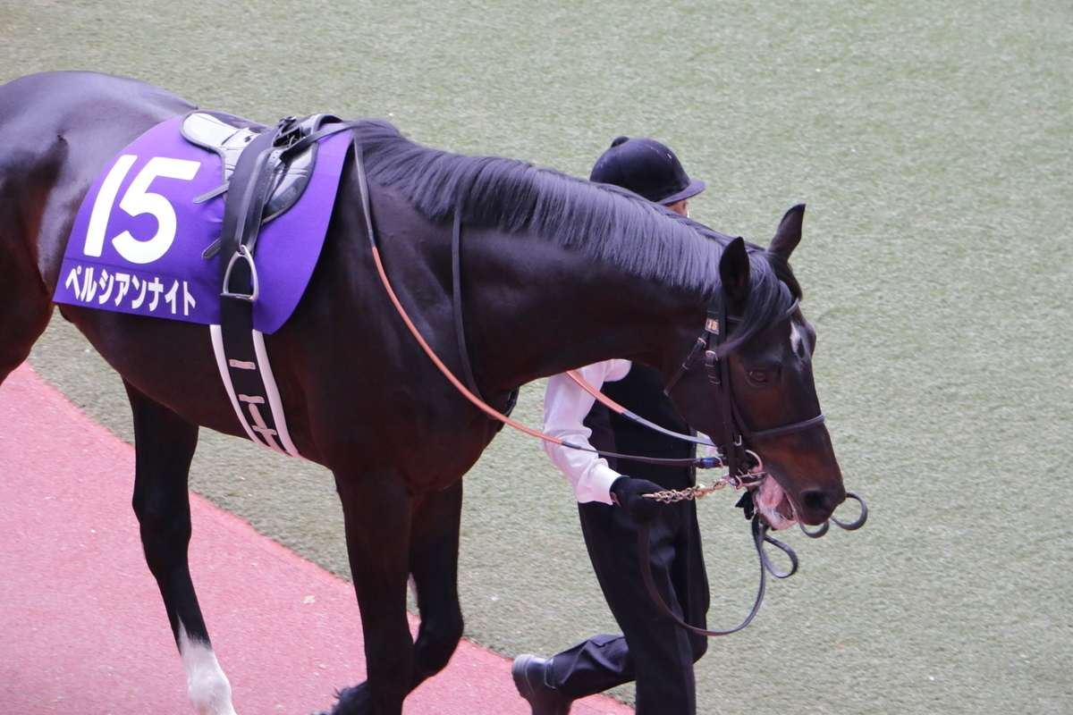 f:id:shitooo:20201123192850j:plain