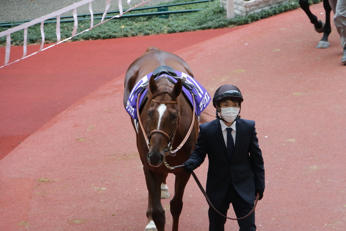 f:id:shitooo:20201123193139j:plain