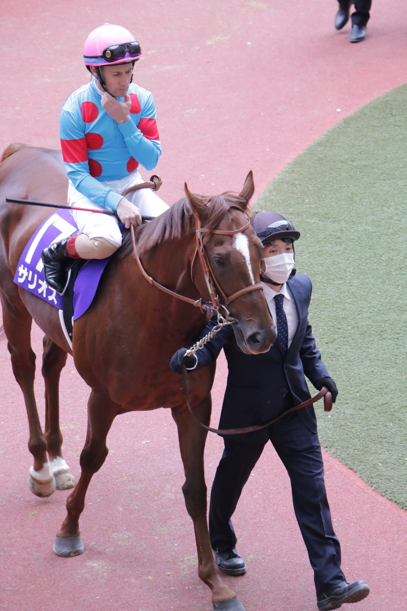 f:id:shitooo:20201123193232j:plain