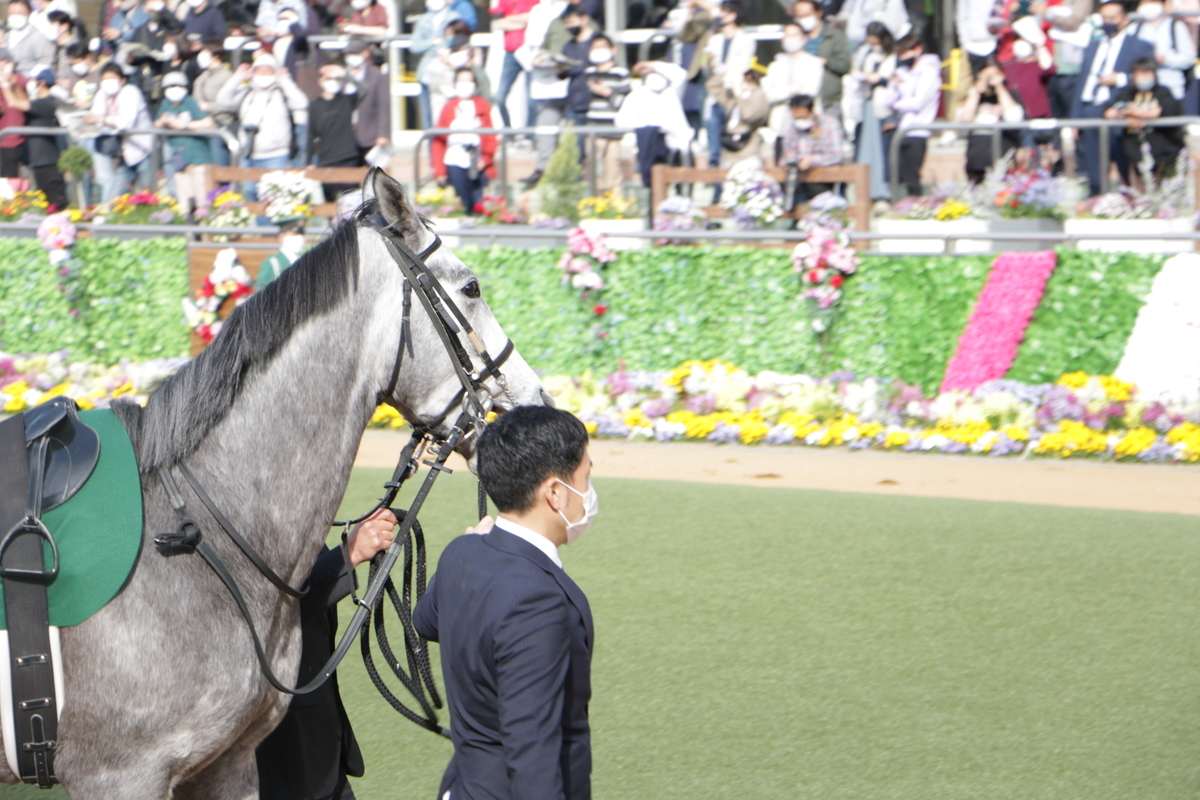 f:id:shitooo:20210406205531j:plain