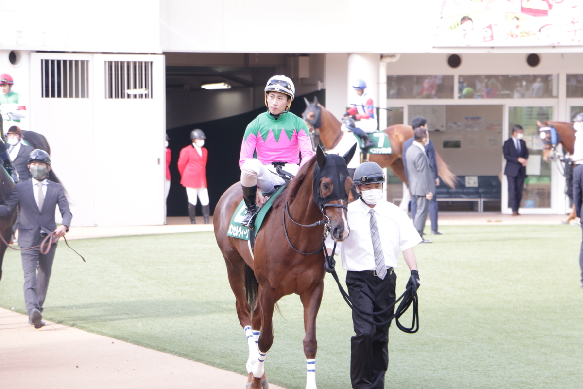 f:id:shitooo:20210406205803j:plain