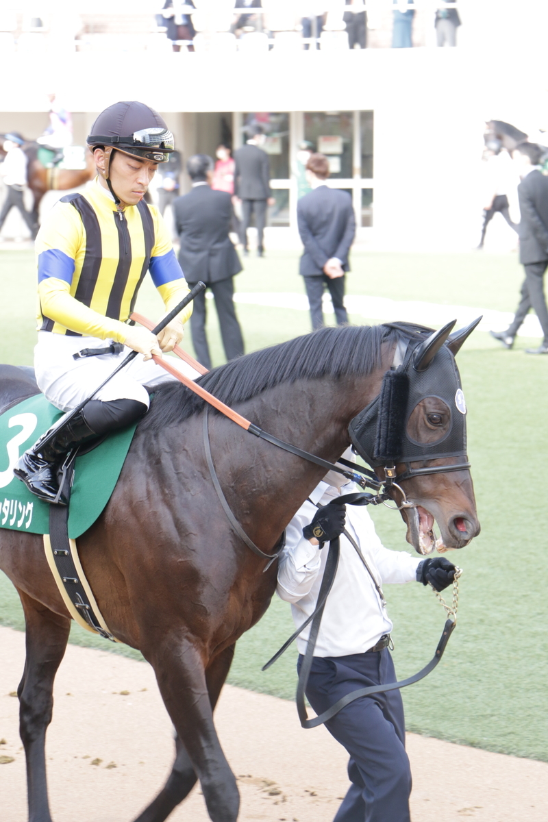 f:id:shitooo:20210406210309j:plain