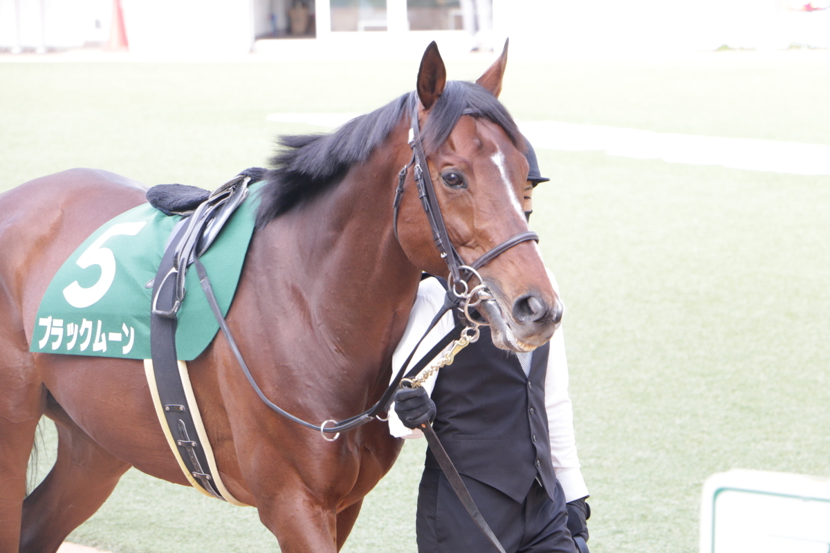 f:id:shitooo:20210406211053j:plain