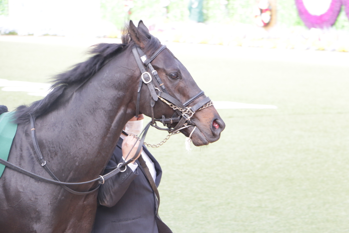 f:id:shitooo:20210406211535j:plain