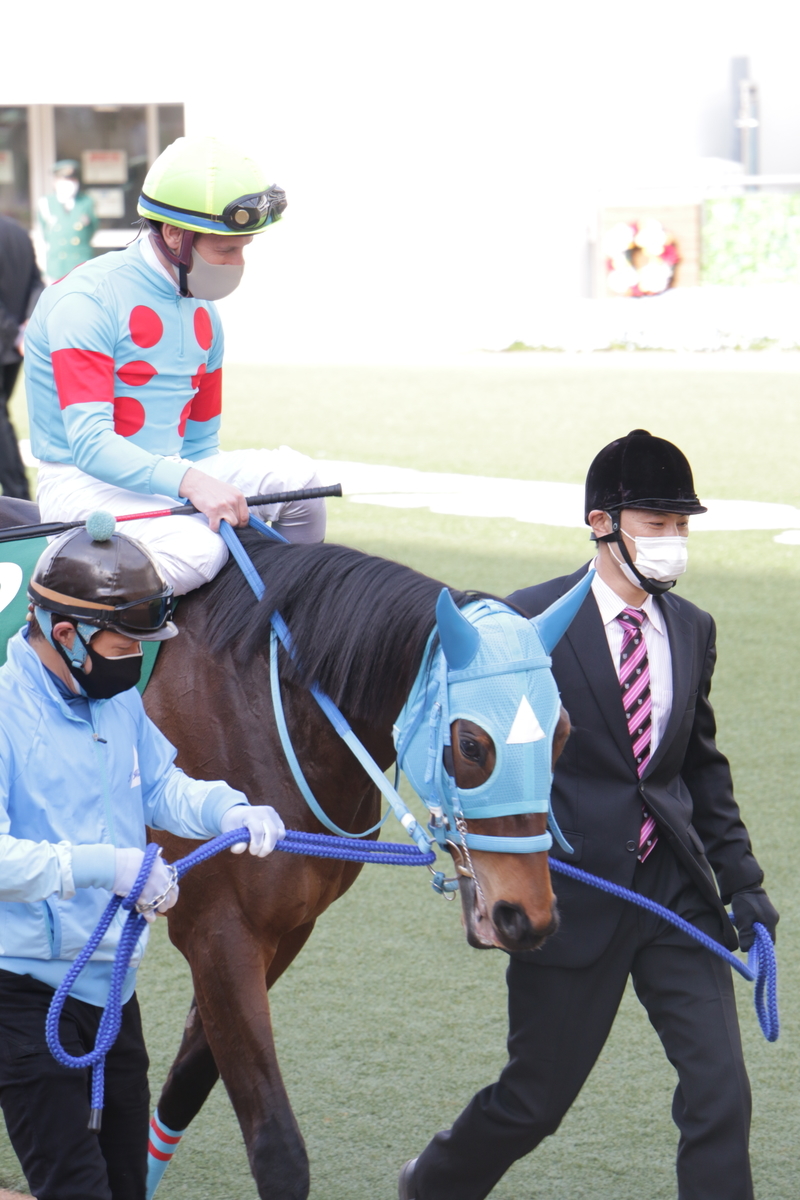 f:id:shitooo:20210406212436j:plain