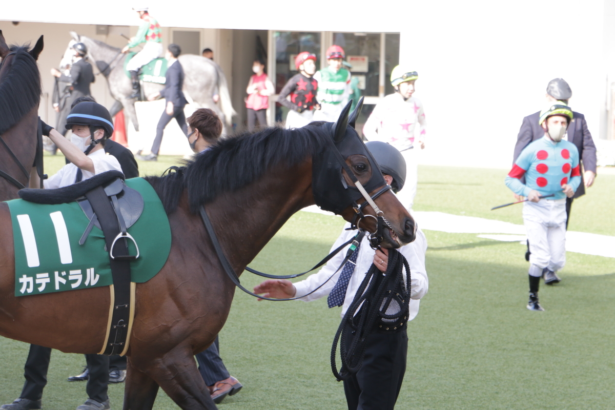 f:id:shitooo:20210406212902j:plain