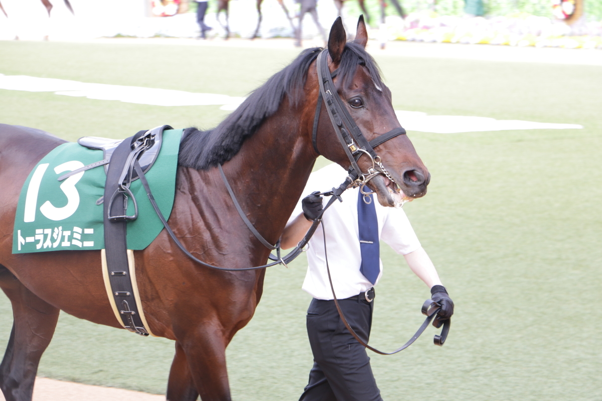 f:id:shitooo:20210406213313j:plain