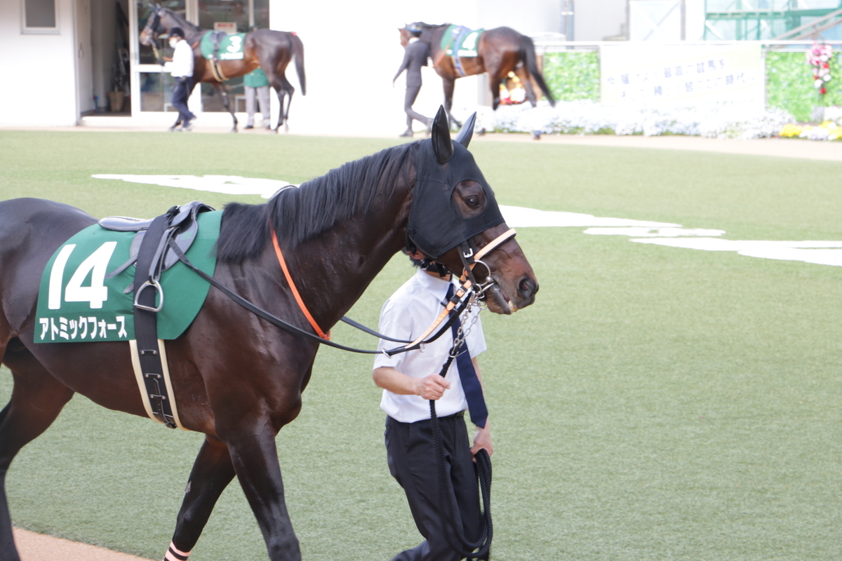 f:id:shitooo:20210406213423j:plain