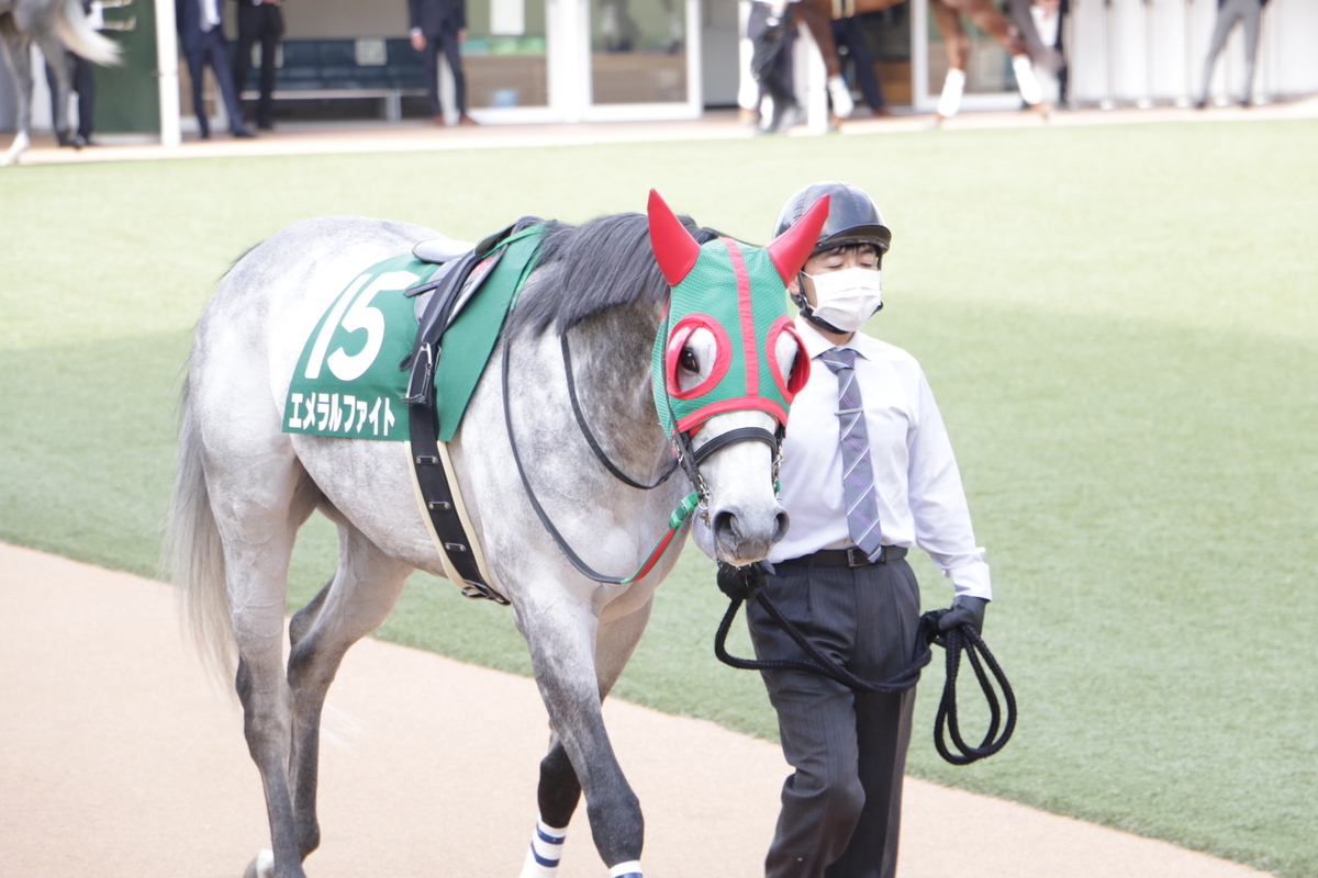 f:id:shitooo:20210406213503j:plain