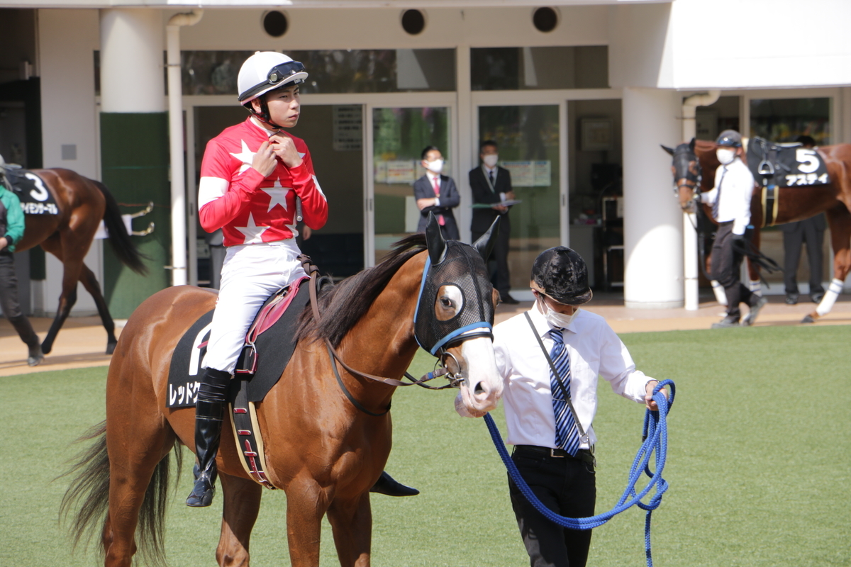 f:id:shitooo:20210407223330j:plain