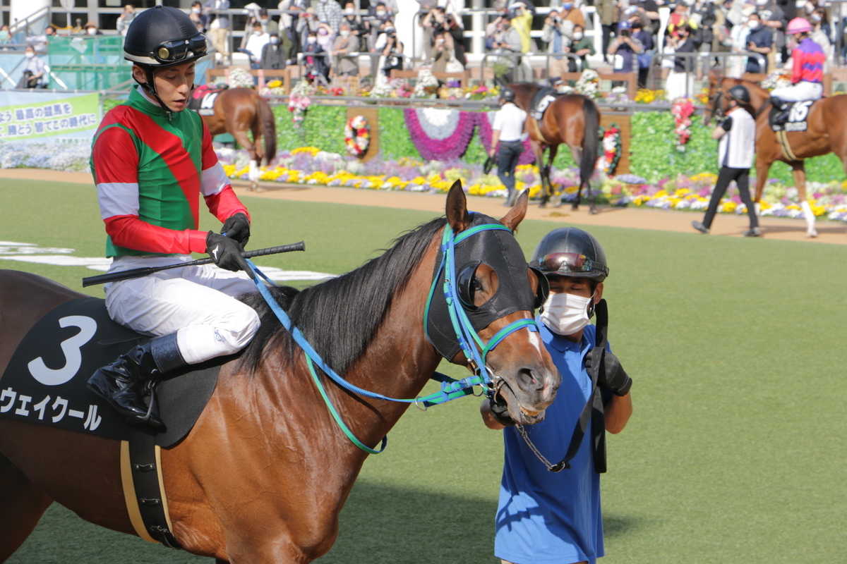 f:id:shitooo:20210407223840j:plain