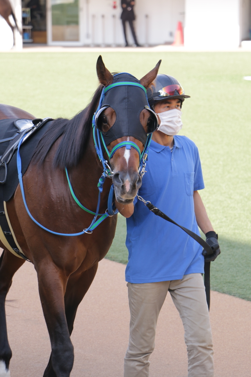 f:id:shitooo:20210407223856j:plain