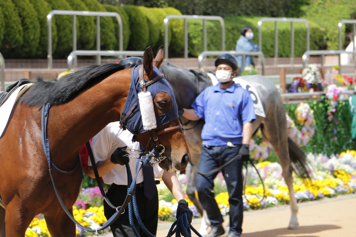 f:id:shitooo:20210407225354j:plain