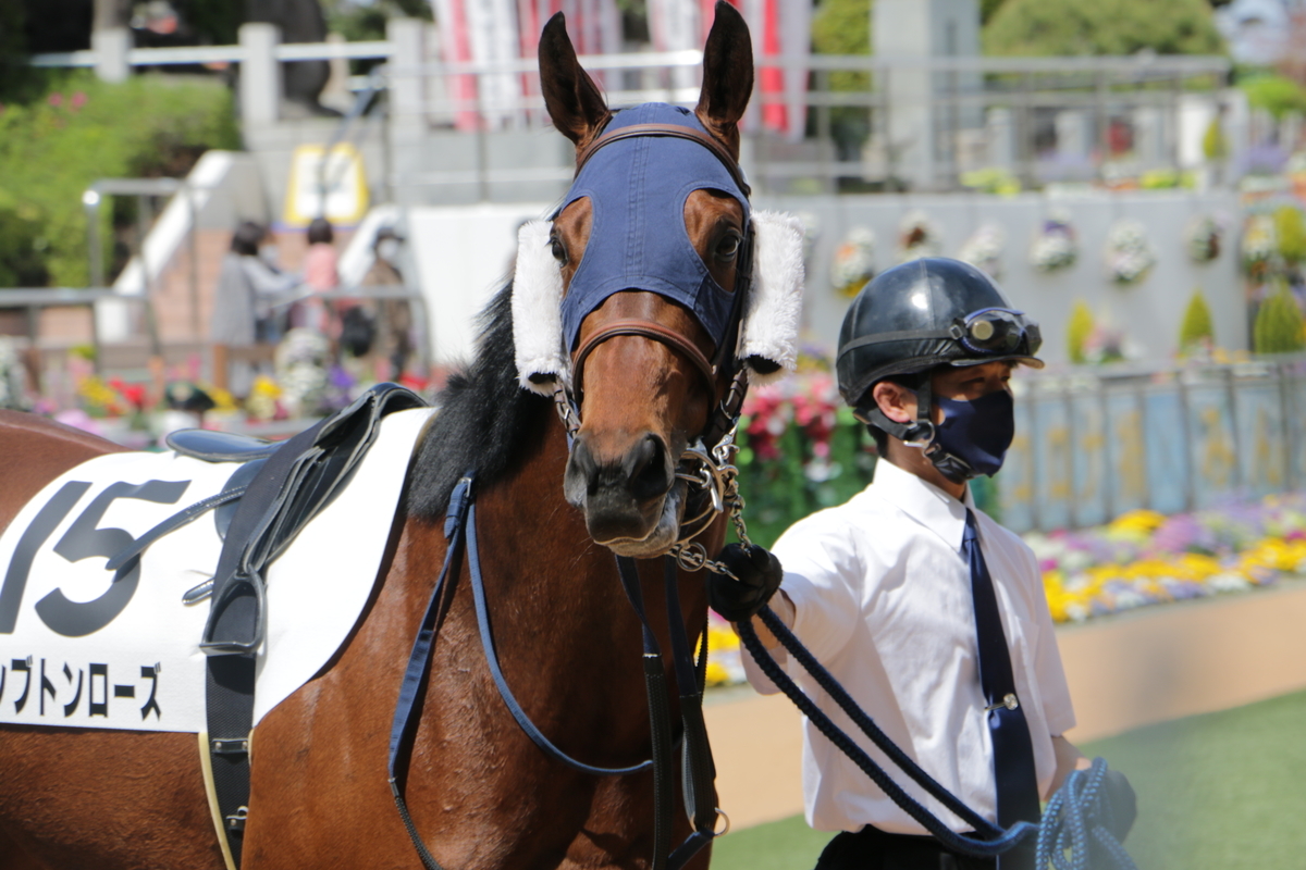 f:id:shitooo:20210407230108j:plain