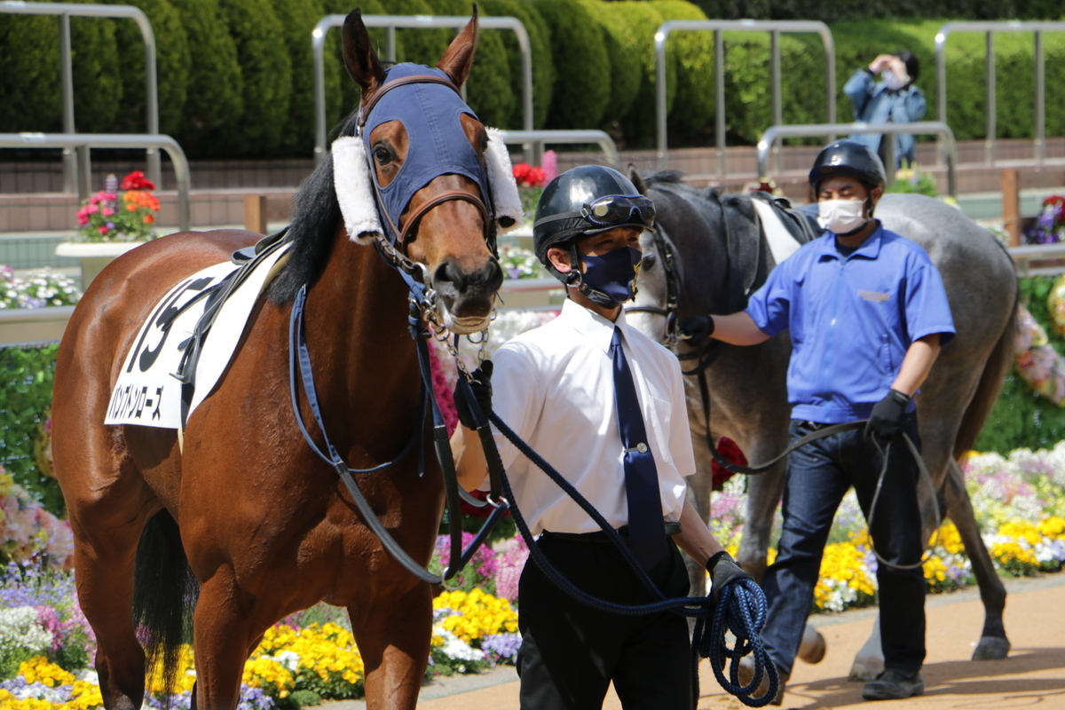 f:id:shitooo:20210407230117j:plain