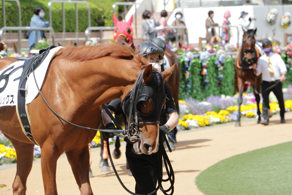 f:id:shitooo:20210407230526j:plain