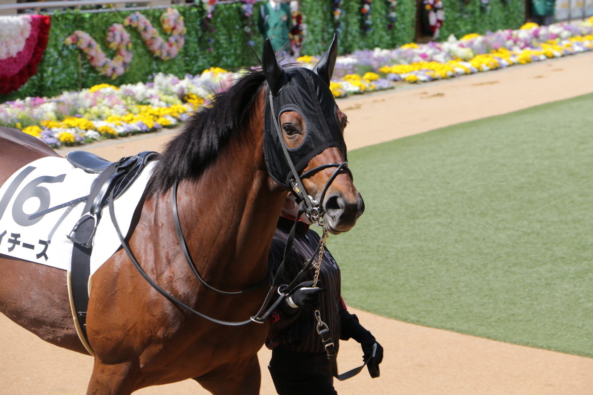 f:id:shitooo:20210407231219j:plain