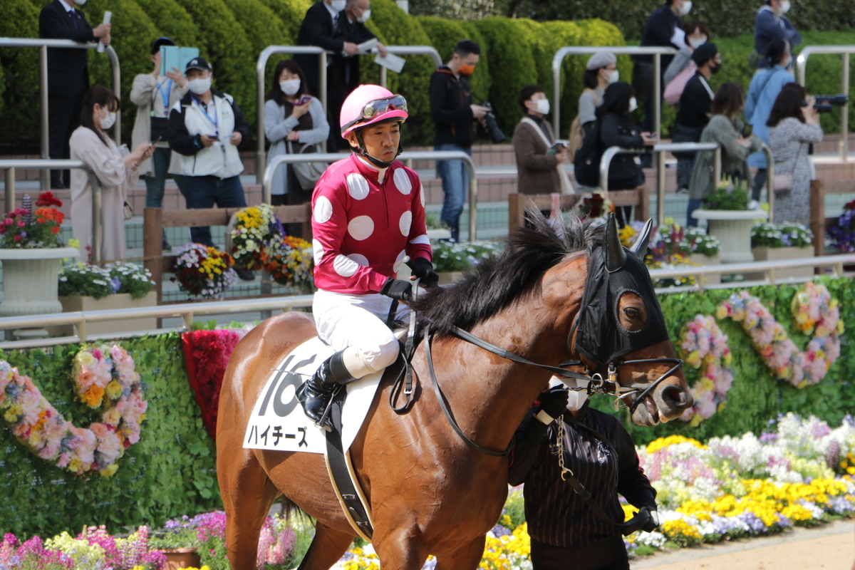 f:id:shitooo:20210407231227j:plain