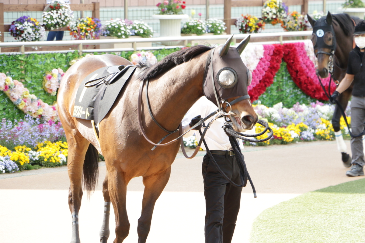 f:id:shitooo:20210413220028j:plain