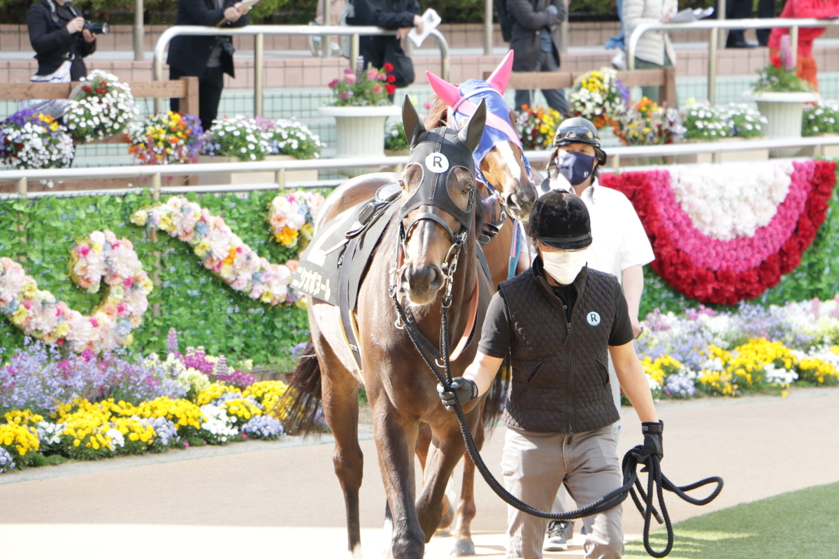 f:id:shitooo:20210413220140j:plain