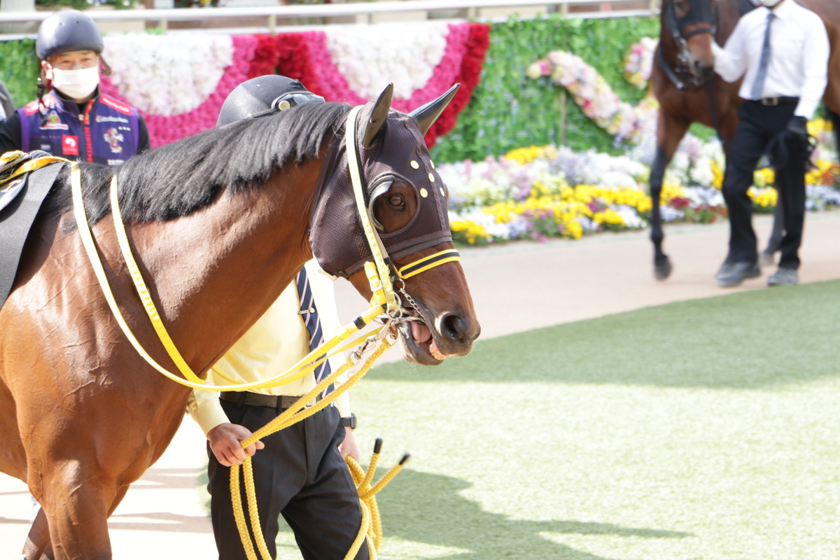 f:id:shitooo:20210413221125j:plain