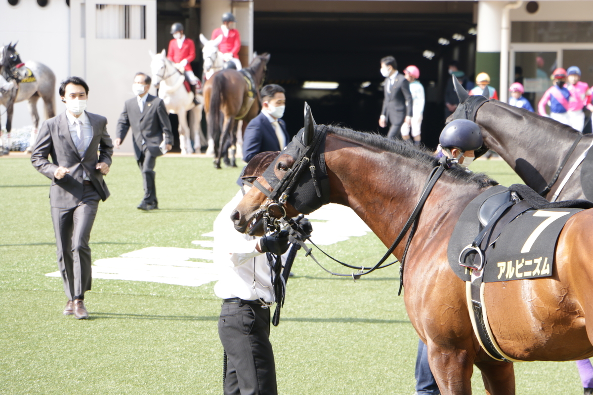 f:id:shitooo:20210413221651j:plain